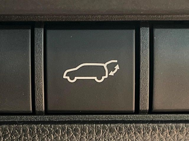 TOYOTA LANDCRUISER 250 2024 Image 31