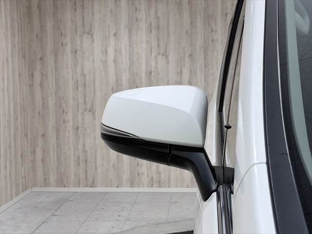 TOYOTA ALPHARD 2018 Image 31