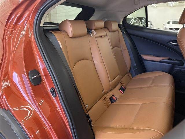 TOYOTA LEXUS UX300E 2021 Image 31