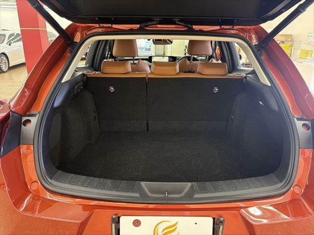 TOYOTA LEXUS UX300E 2021 Image 31