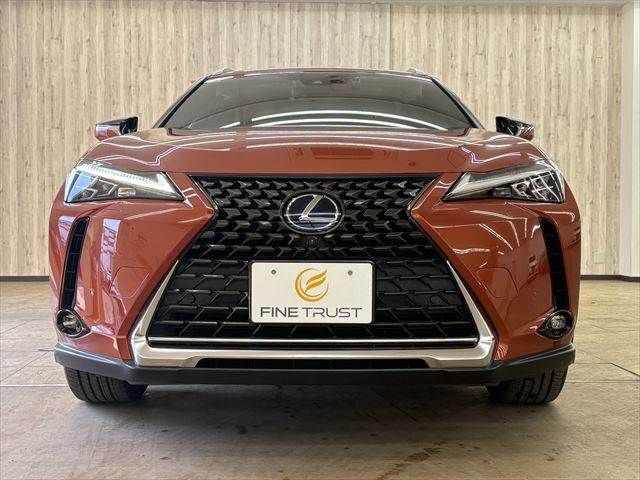 TOYOTA LEXUS UX300E 2021 Image 31