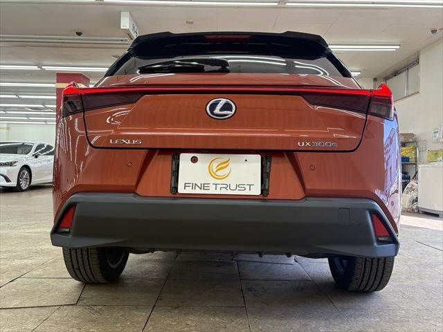 TOYOTA LEXUS UX300E 2021 Image 31