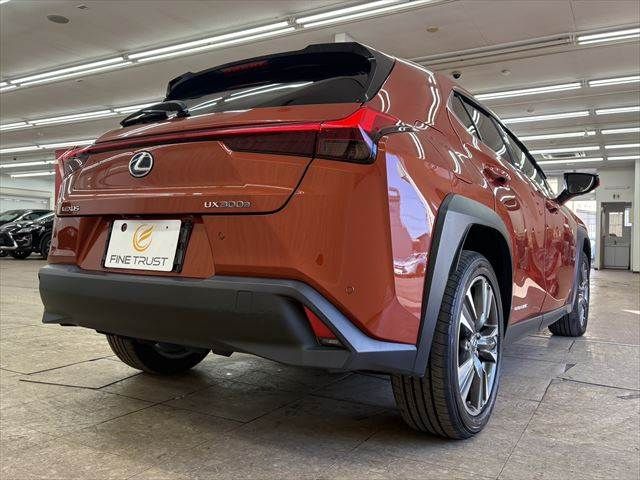 TOYOTA LEXUS UX300E 2021 Image 31