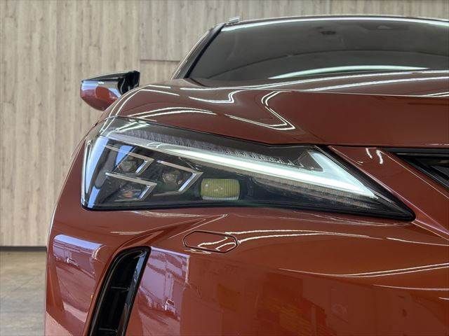 TOYOTA LEXUS UX300E 2021 Image 31