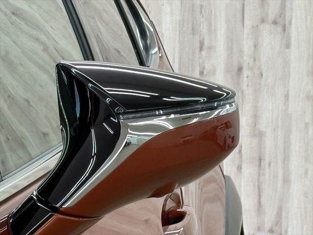 TOYOTA LEXUS UX300E 2021 Image 31