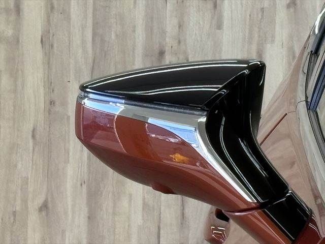 TOYOTA LEXUS UX300E 2021 Image 31