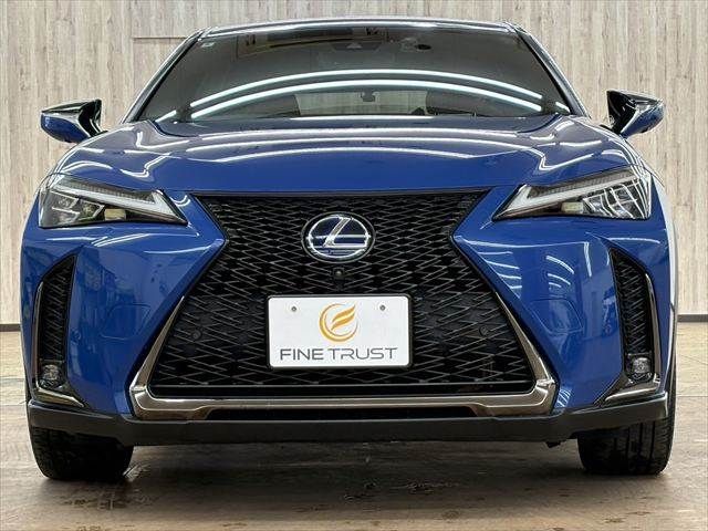 TOYOTA LEXUS UX250H 2018 Image 31
