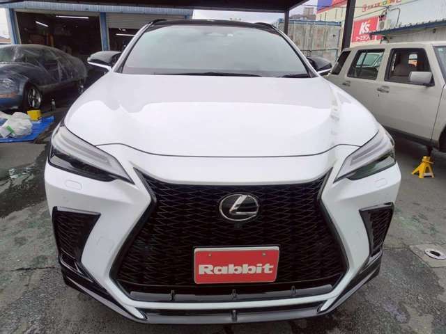 TOYOTA LEXUS NX300H 2023 Image 31