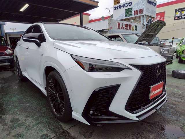 TOYOTA LEXUS NX300H 2023 Image 31