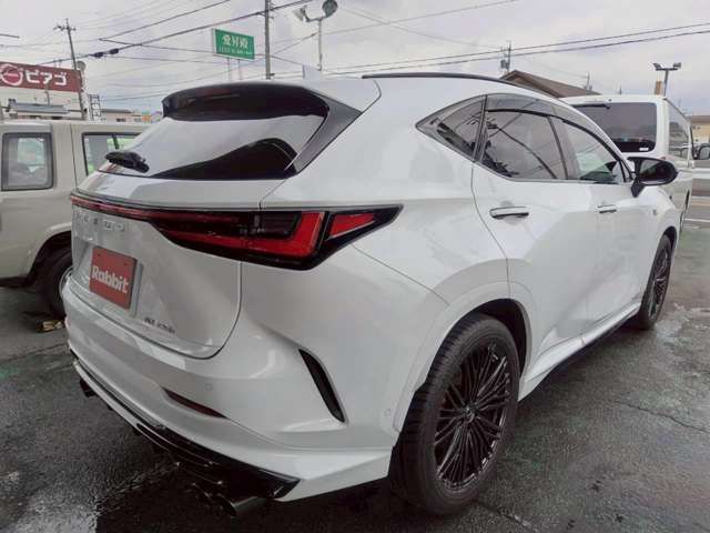 TOYOTA LEXUS NX300H 2023 Image 31