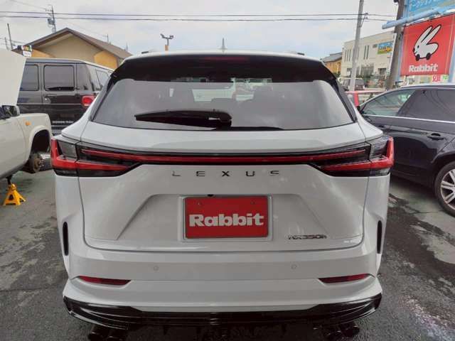 TOYOTA LEXUS NX300H 2023 Image 31