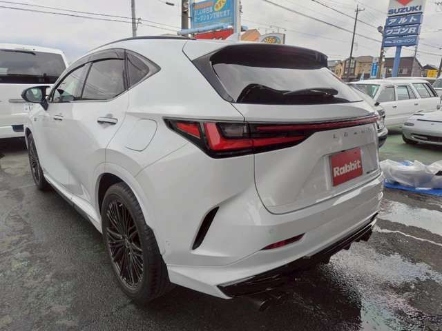 TOYOTA LEXUS NX300H 2023 Image 31