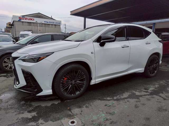 TOYOTA LEXUS NX300H 2023 Image 31