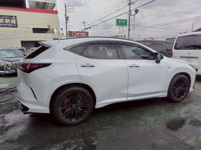 TOYOTA LEXUS NX300H 2023 Image 31
