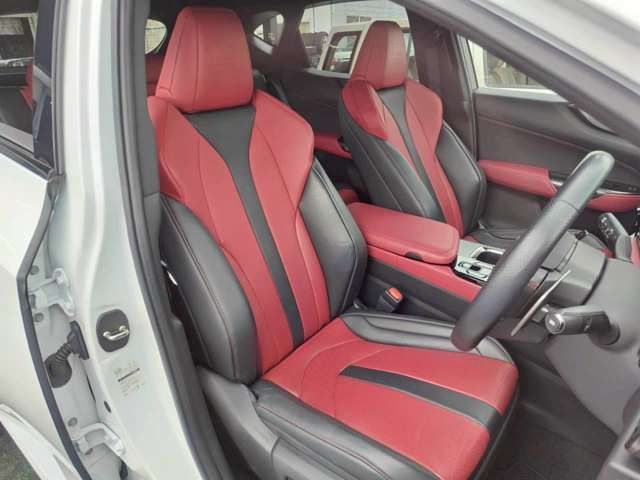 TOYOTA LEXUS NX300H 2023 Image 31