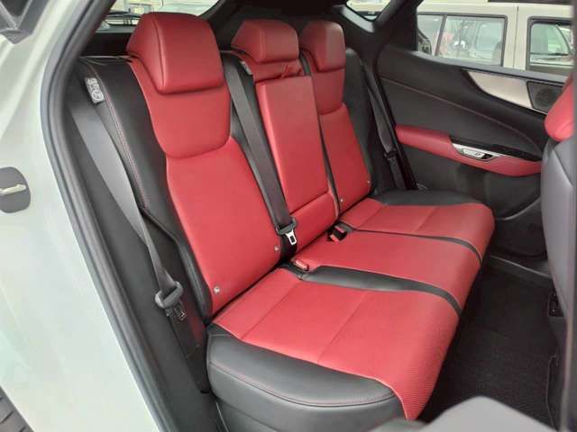 TOYOTA LEXUS NX300H 2023 Image 31