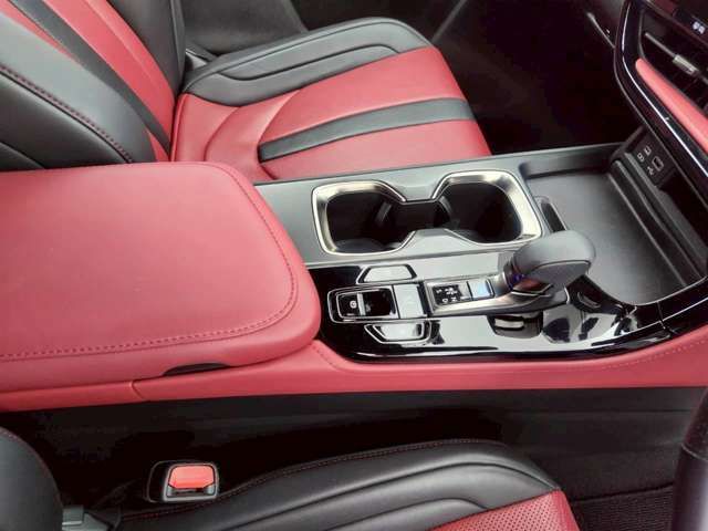 TOYOTA LEXUS NX300H 2023 Image 31