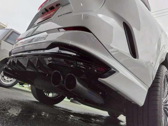 TOYOTA LEXUS NX300H 2023 Image 31