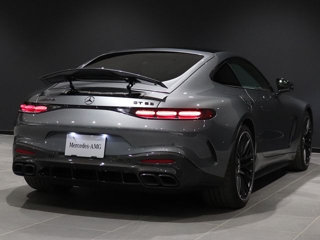 MERCEDES BENZ MERCEDES AMG GT 2024 Image 31