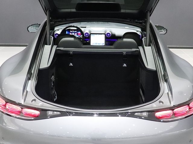 MERCEDES BENZ MERCEDES AMG GT 2024 Image 31