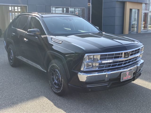 MITSUOKA BUDDY 2022 Image 31