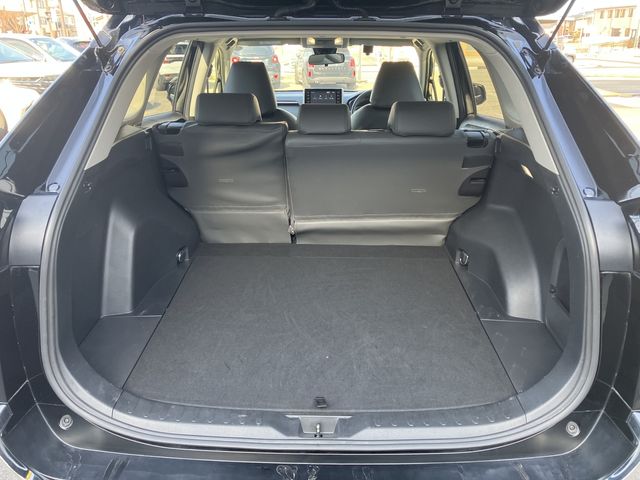 MITSUOKA BUDDY 2022 Image 31