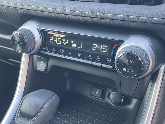 MITSUOKA BUDDY 2022 Image 31