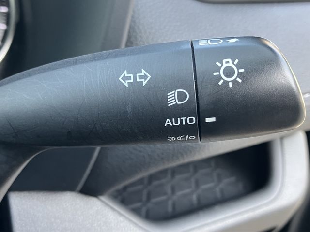 MITSUOKA BUDDY 2022 Image 31