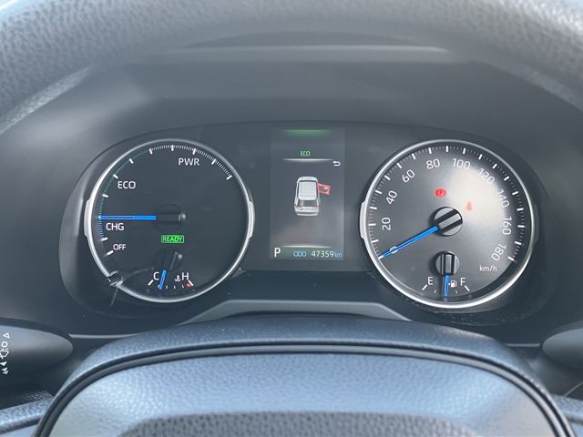 MITSUOKA BUDDY 2022 Image 31