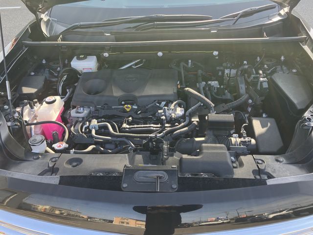 MITSUOKA BUDDY 2022 Image 31