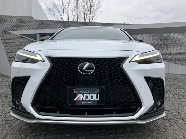 TOYOTA LEXUS NX350H AWD 2023 Image 31