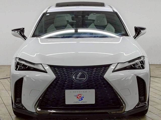 TOYOTA LEXUS UX200 2019 Image 31