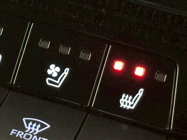 TOYOTA LANDCRUISER 250 2024 Image 31