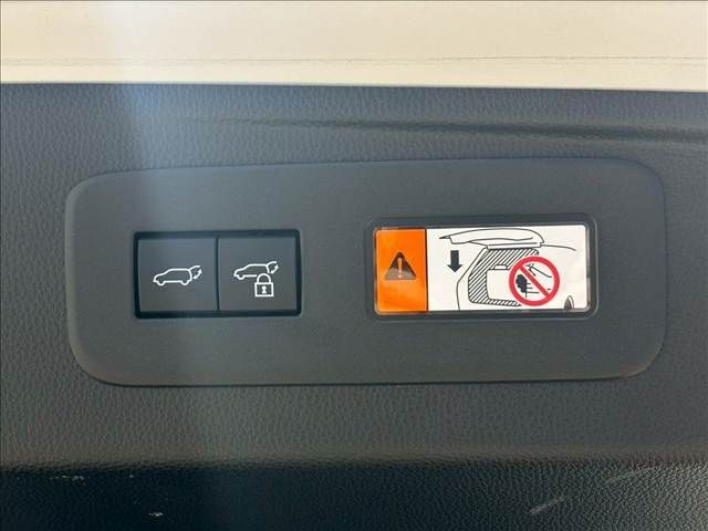 TOYOTA LANDCRUISER 250 2024 Image 31