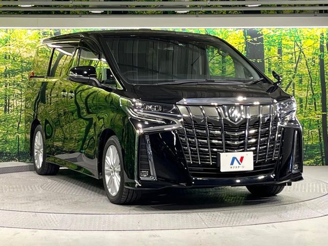 TOYOTA ALPHARD 2019 Image 31
