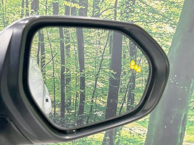 TOYOTA C-HR 2017 Image 31