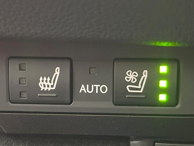 TOYOTA LEXUS ES300H 2021 Image 31