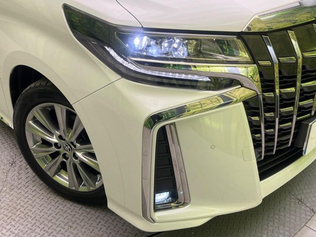 TOYOTA ALPHARD 2020 Image 31