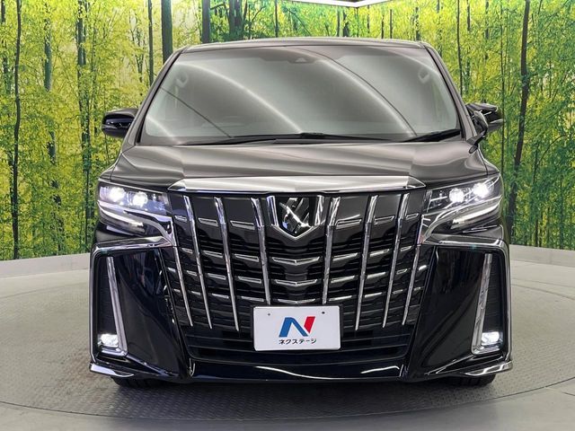 TOYOTA ALPHARD 2019 Image 31