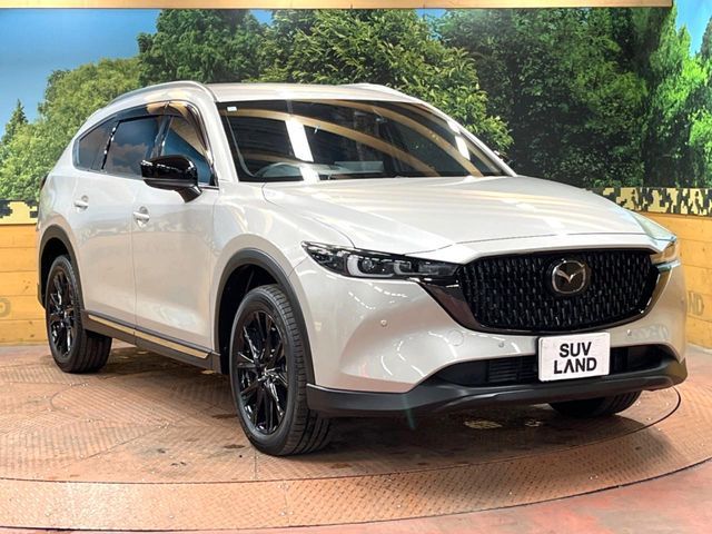 MAZDA CX-8 2023 Image 31