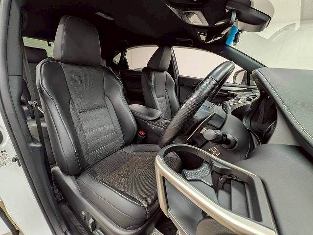 TOYOTA LEXUS NX300H 2018 Image 31