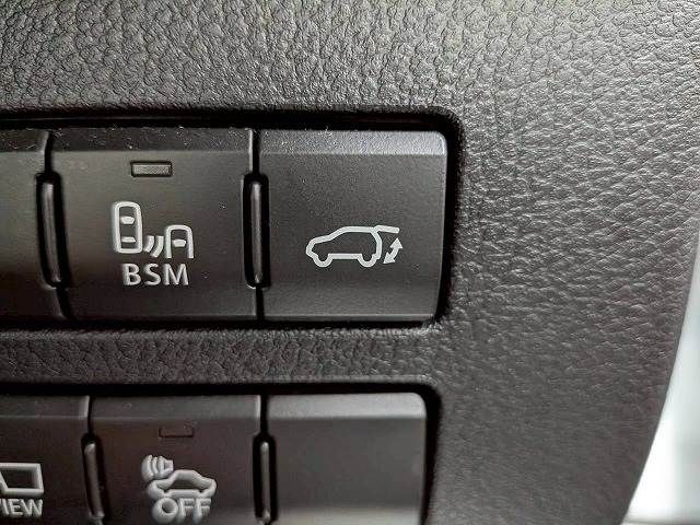 TOYOTA LEXUS NX300H 2018 Image 31