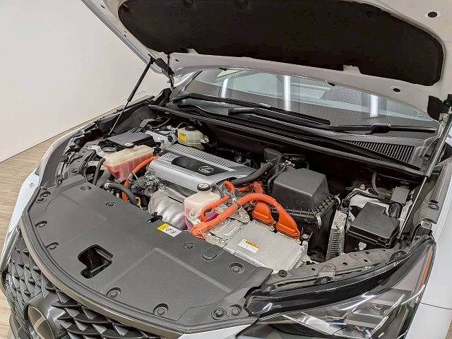 TOYOTA LEXUS NX300H 2018 Image 31