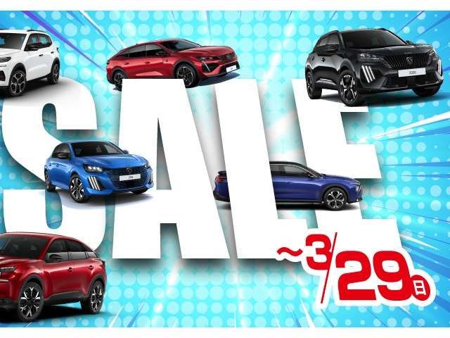 PEUGEOT 2008 2025 Image 31