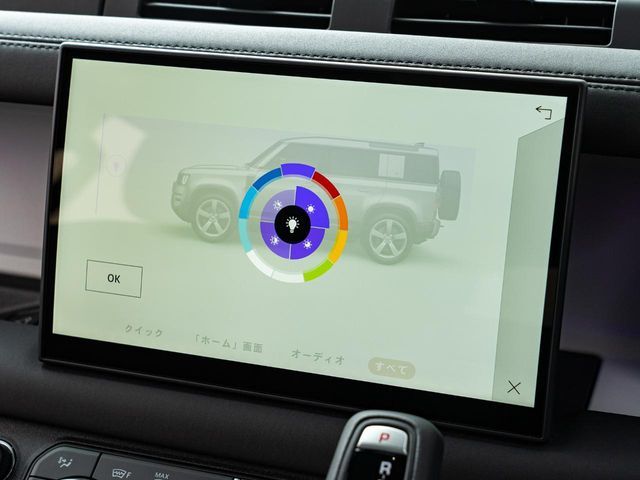 ROVER DEFENDER 2025 Image 31