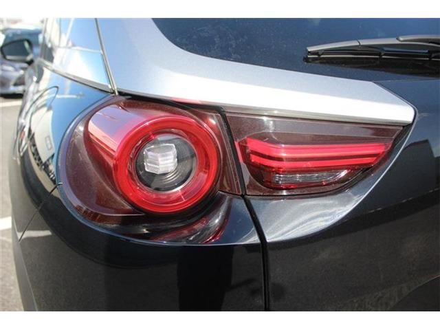 MAZDA MX-30 ROTARY-EV 2023 Image 31