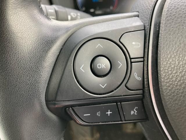 TOYOTA RAV4 4WD 2023 Image 31