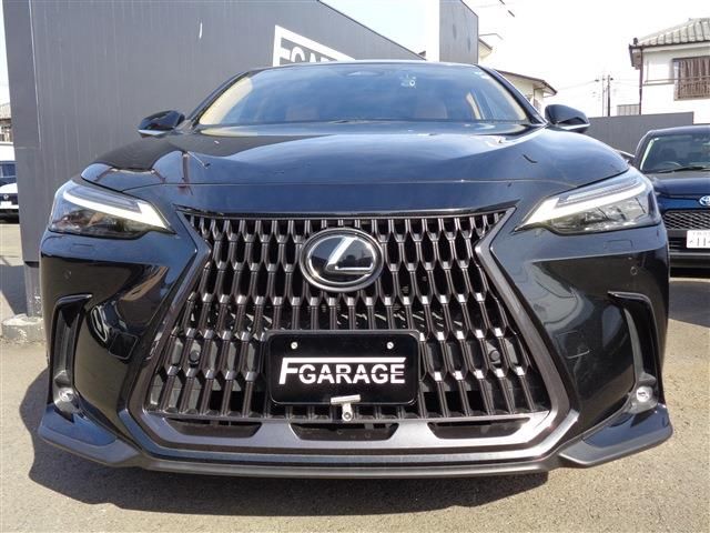 TOYOTA LEXUS NX250 2023 Image 31