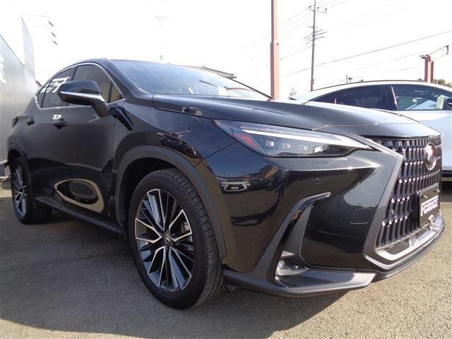 TOYOTA LEXUS NX250 2023 Image 31