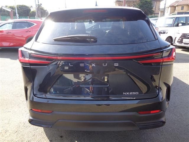 TOYOTA LEXUS NX250 2023 Image 31